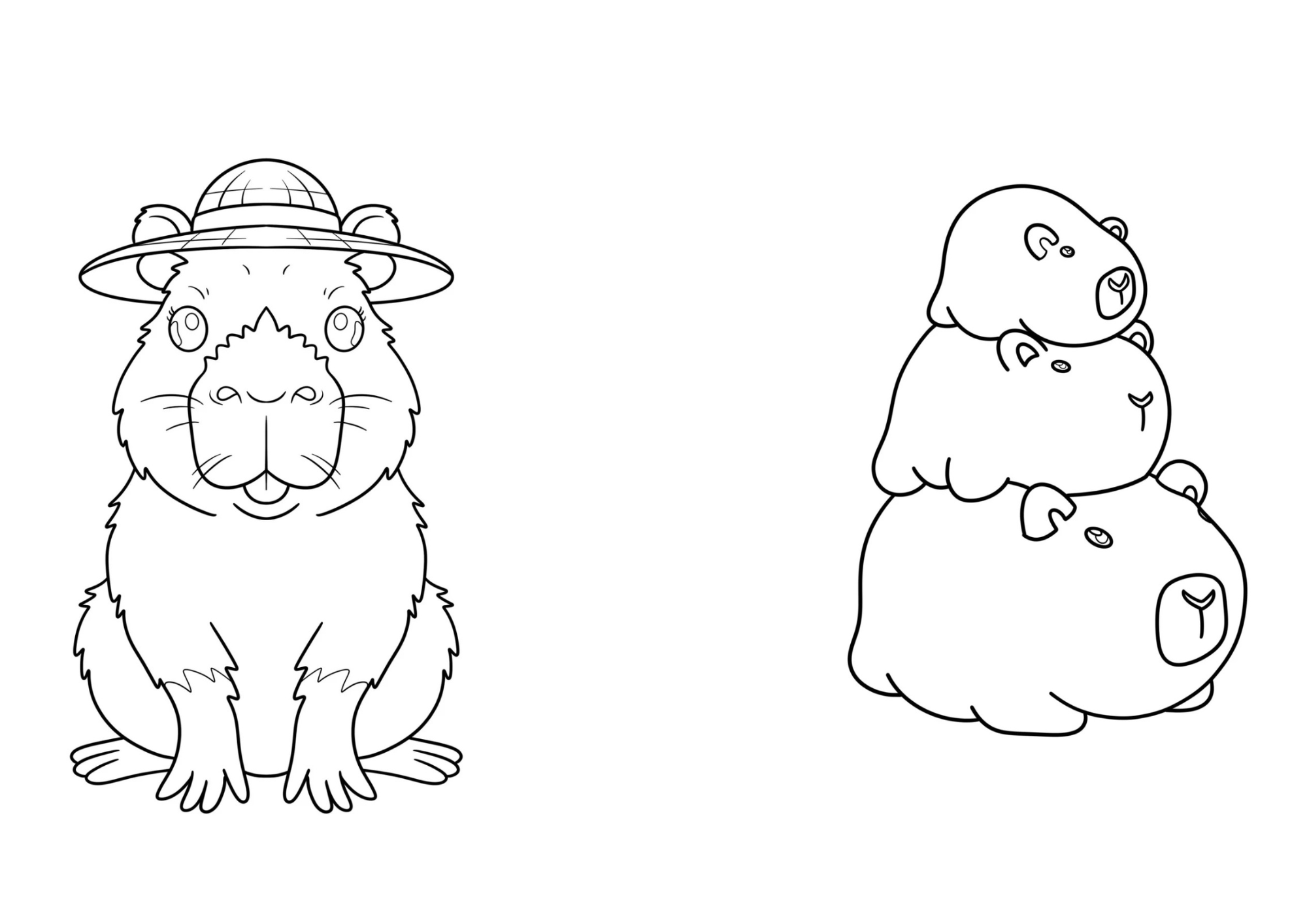 Pack libros Capibara para colorear