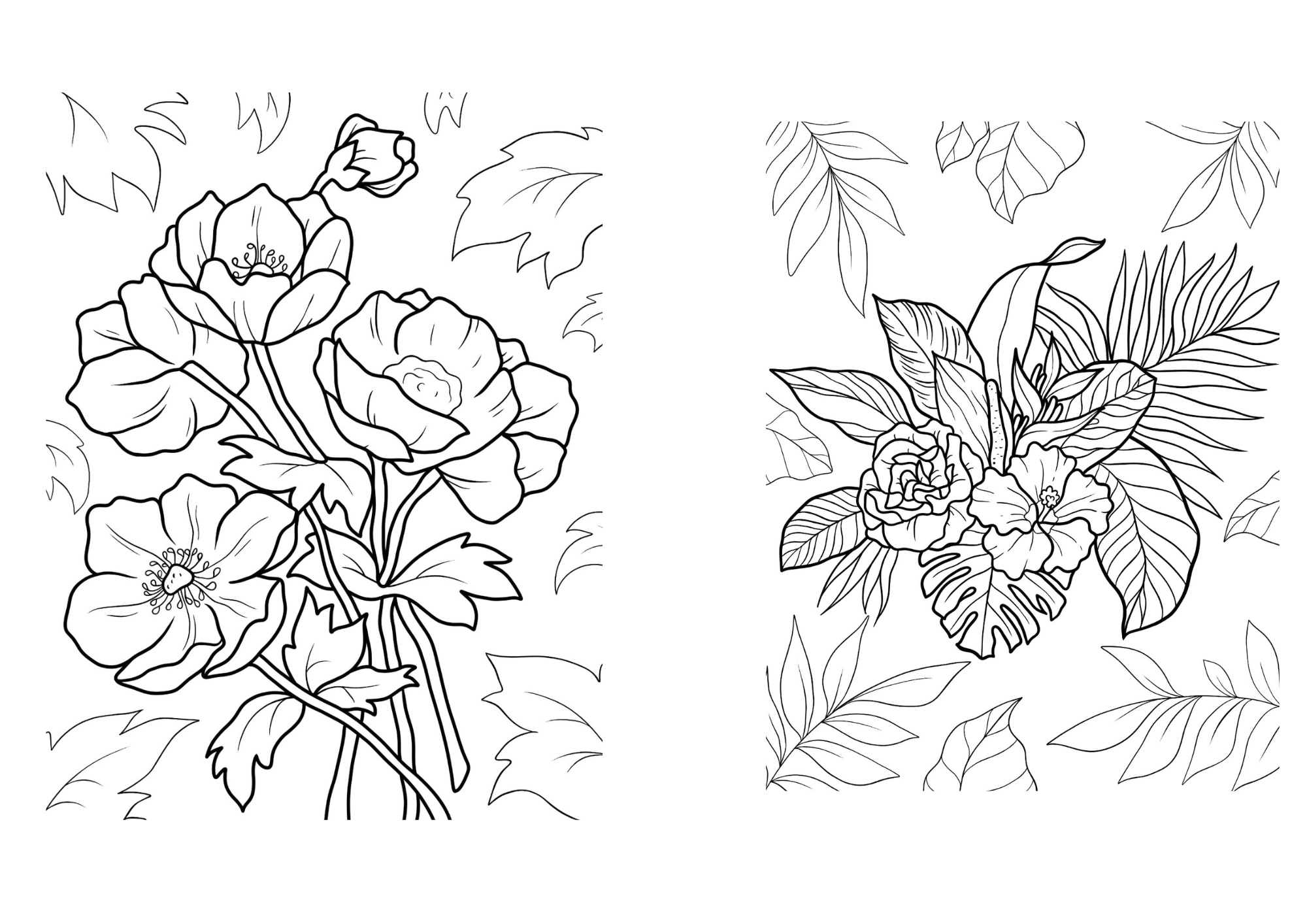 Pack libros mandalas y flores para colorear