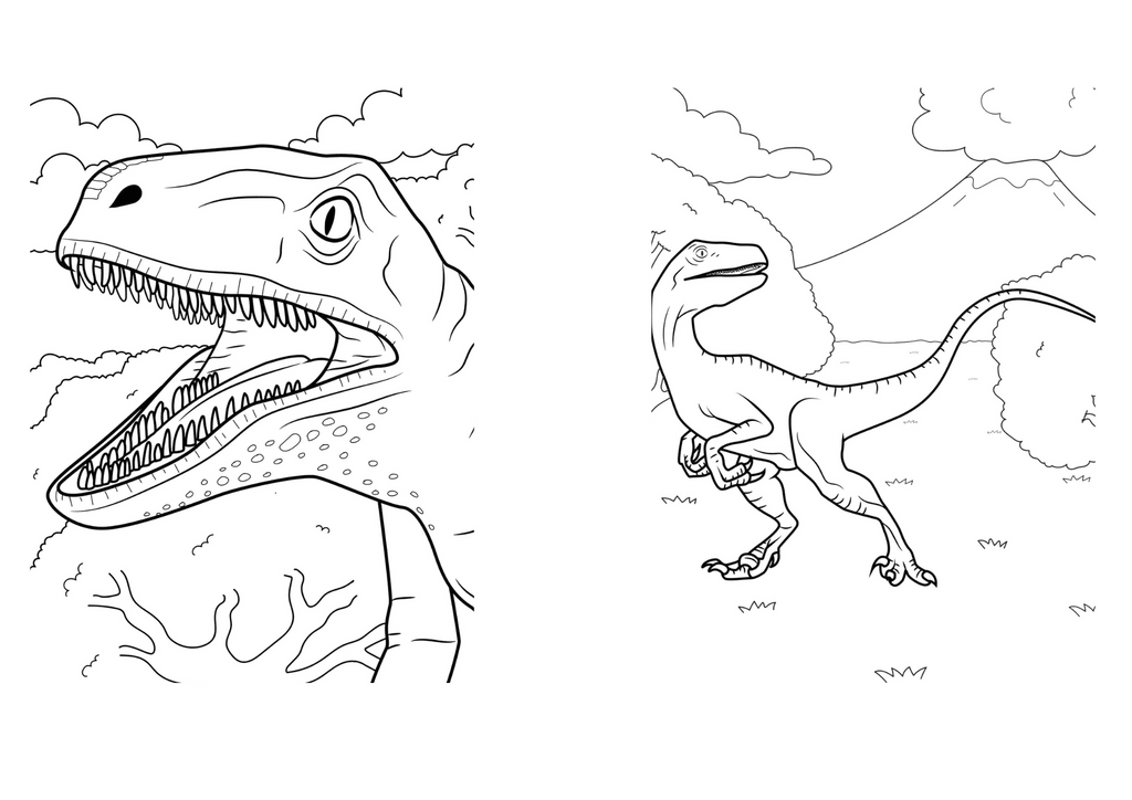 Pack libros Dinosaurios para colorear