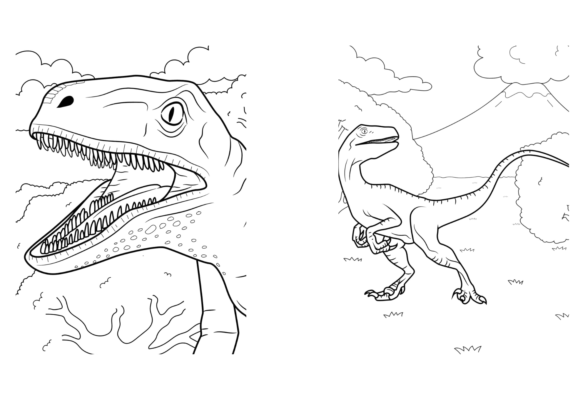 Pack libros Dinosaurios para colorear