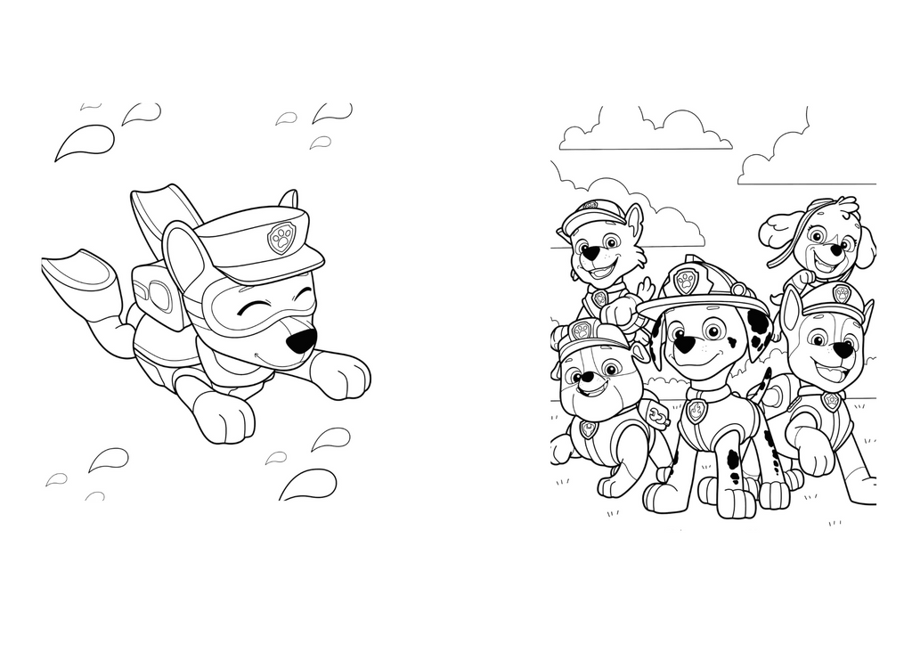 Pack libros Paw patrol para colorear