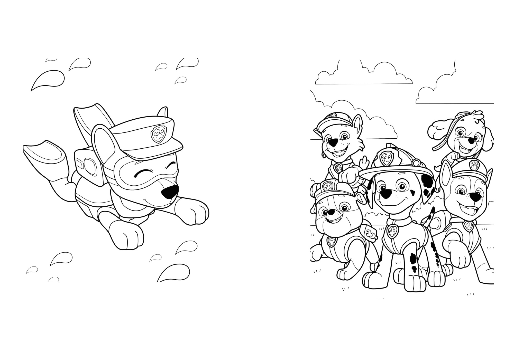 Pack libros Paw patrol para colorear